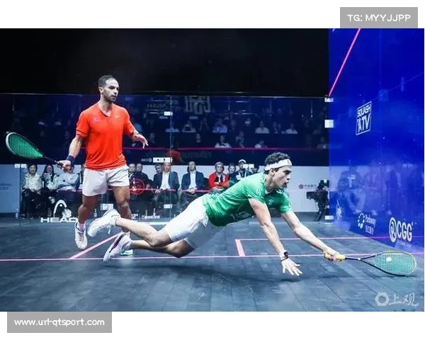 世界壁球锦标赛：埃及选手垄断格局能否被英国新星打破